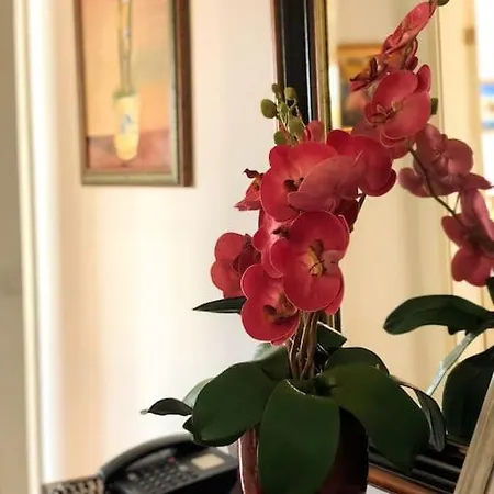 Costa's Oldtown House In Apartment Funchal (Madeira)